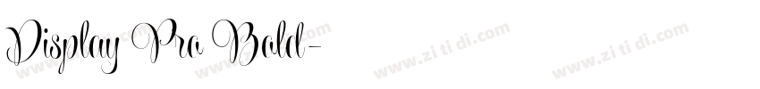 Display Pro Bold字体转换